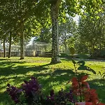 Camping Avec Terrasse A San Vicente - Api-1-52-1846