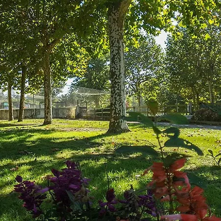 Kemping Avec Terrasse A San Vicente - Api-1-52-1846