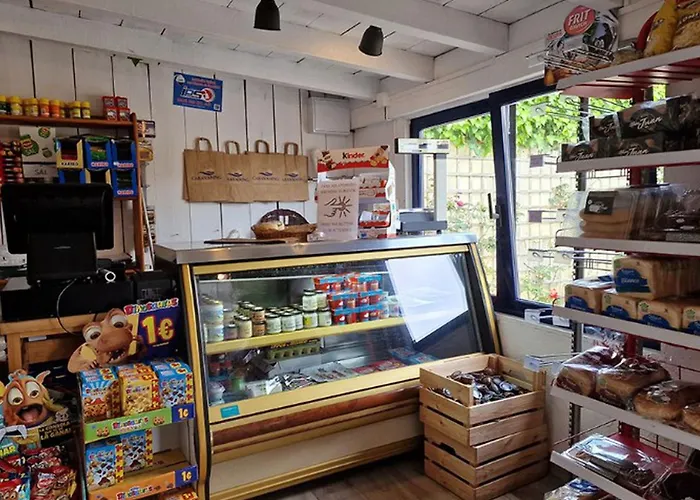 Avec Terrasse A San Vicente - Api-1-52-1846 Kemping *