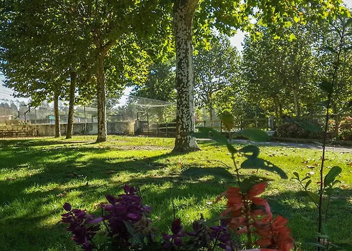 Kemping Avec Terrasse A San Vicente - Api-1-52-1846